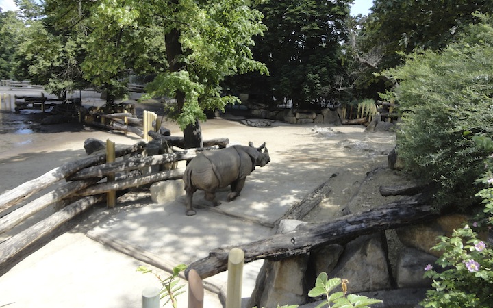 ZOO PARK SCHONNBRUNN – VIENNA