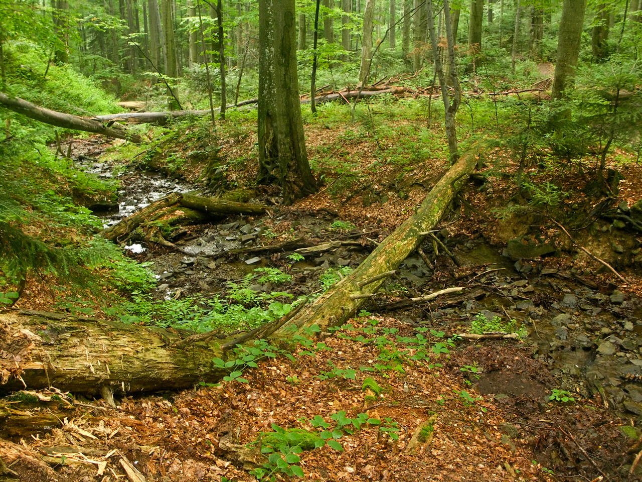 NATIONAL PARK POLONINY (inscribed in 2007, 2011)